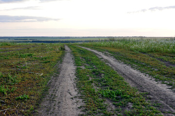 a dirt road going to horizon in the dusk copy space  