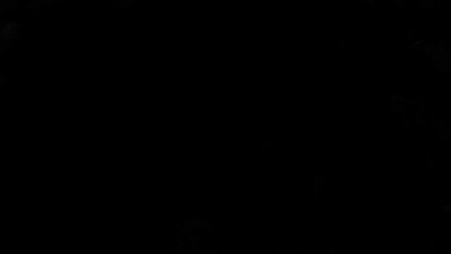 和紙に墨汁にじむエフェクト