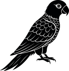 parrot silhouette vector illustration Design on a white background
