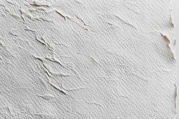 Fototapeta premium Natural paper texture