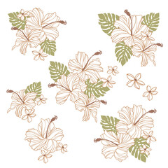 Impressive and beautiful hibiscus illustration collection,