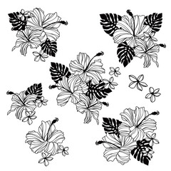 Impressive and beautiful hibiscus illustration collection,