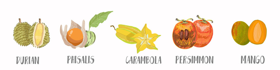 Obraz premium Vector vegetables and fruits, berries icons set in hand drawn style. Collection farm product for restaurant menu, market label.