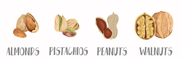 Vector nuts icons set in hand drawn style. Collection farm product for restaurant menu, market label.