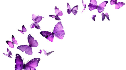 Soaring purple butterflies isolated on transparent or white background, png