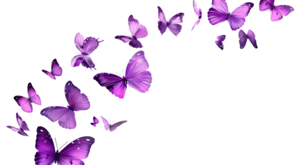 Soaring purple butterflies isolated on transparent or white background, png
