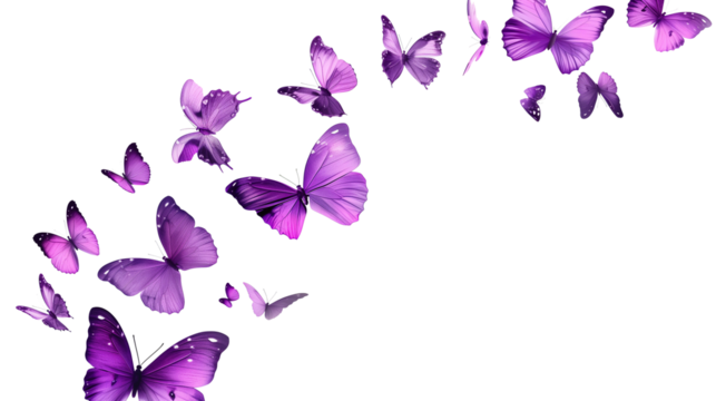 Soaring purple butterflies isolated on transparent or white background, png