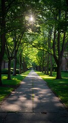 Obraz premium Sidewalk leading to campus surrounded by green bushes and trees