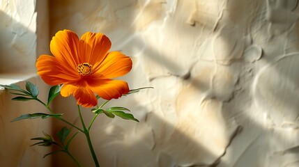 Tiny Flower A small flower in one corner with lots of white space