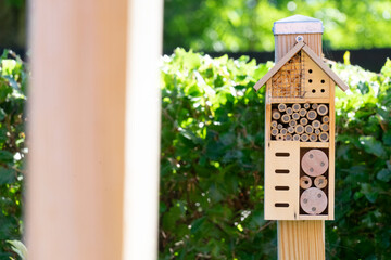 Insect house with many inhabited chambers in a vegetable garden