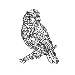 Fototapeta premium Birds drawn vector illustration.