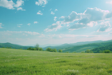 Obraz premium Summer alpine grasslands with blue sky and white cloud background