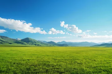 Fotobehang Summer alpine grasslands with blue sky and white cloud background © hqrloveq