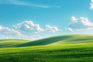 Fototapeta premium Summer alpine grasslands with blue sky and white cloud background