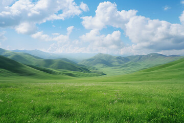 Fototapeta premium Summer alpine grasslands with blue sky and white cloud background