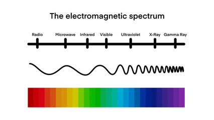 electromagnetic spectrum, wave lengths, frequency and temperature. Electromagnetic wave structure scheme. Physics infographic elements, Educational school physics, Visible light diagram