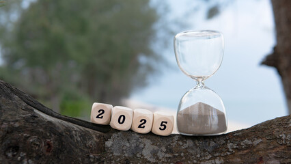 Welcoming the Year 2025