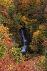 秘境 秋山郷の紅葉・蛇淵の滝（日本、新潟県津南町）