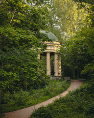 Obraz premium Gazebo in a green forest 