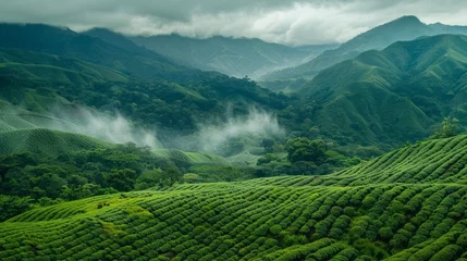 Gardinen A lush green mountain landscape with misty clouds in the sky © liliyabatyrova