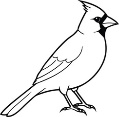 Cardinal outline full body high detail vector 