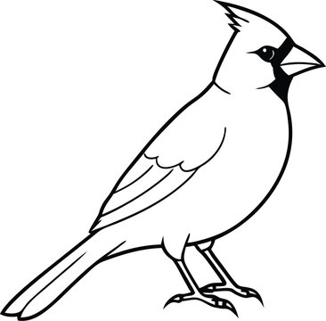 recommend clip art: Cardinal outline full body high detail vector 