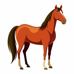 horse vector illustration