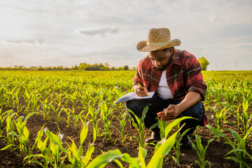 Young farmer is writing notes in his growing corn field.	