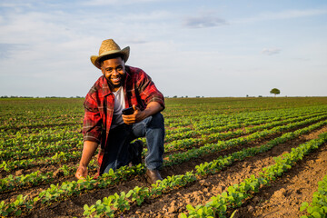 Fototapeta premium Young farmer using mobile phone in his growing soybean field. 