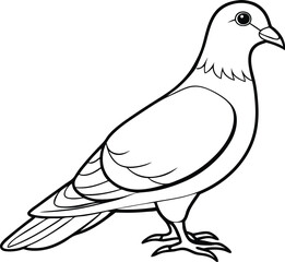 Dove full body high detail outline vector 