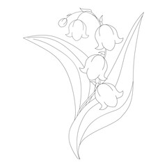 Vector isolated simple minimal one lily valley branch twig with glowers and leaves colorless black and white contour line easy drawing. Vector Simple icon. Eps 10. 