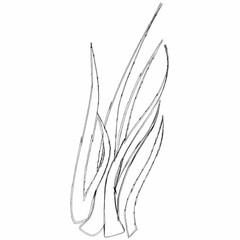 Grass plant design for banners and menus.