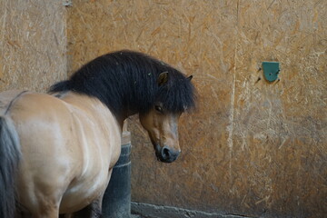ZOO Wrocław