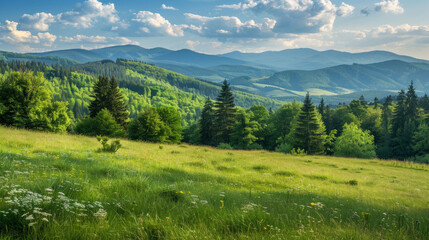 Obraz premium Stunning mountain views with lush green trees and meadows. Picture-perfect summer scenery in Sadecki Beskids, Poland.