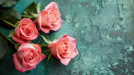 Pink roses on a green backdrop