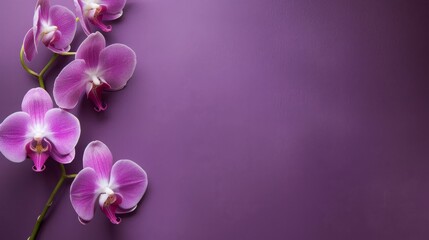 Fototapeta premium Delicate orchid adorning envelope on contrasting purple background with text space