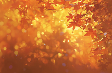 Golden Autumn Leaves Illuminated by Sunlight - Nature Background - 日光に照らされた黄金色の紅葉 - 自然の背景