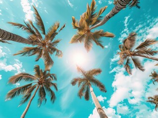 Blue sky and palm trees view from below, vintage style, tropical beach and summer background, travel concept