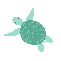  Sea animal turtle with hand drawn sea life elements. Cute marine turtle isolated on a white background, clipart. Cartoon ocean fish