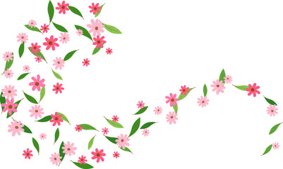 Summer creative layout with swirl of flying pink daisy on a transparent background