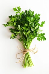 A bundle of fresh parsley tied up with string on a white surface