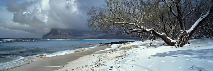 snow-covered Hawaiian beach 