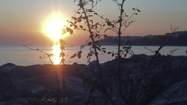 A seascape view with the sun setting behind some rocks and trees