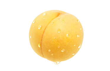 黄金桃 イラスト リアル 白バック