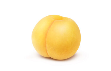 黄金桃 イラスト リアル 白バック