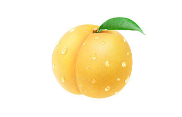 黄金桃 イラスト リアル 白バック