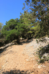 trail to viewpoint Vidova Gora on the island  Brac , Croatia