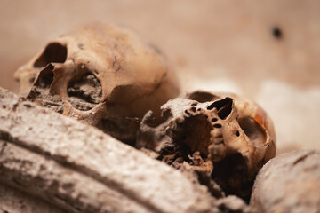 Ancient skull uncovered in catacomb depths