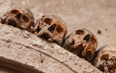 Ancient skull uncovered in catacomb depths