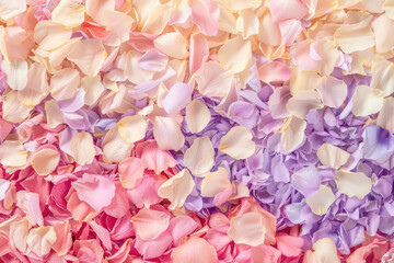 A top-down shot of a soft pastel-colored floral blanket covering the ground